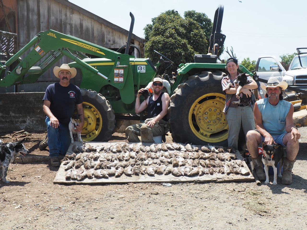 Rat-Hunting Dogs: A Historically Organic Option